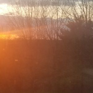 Meet your Posher, Rex